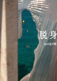 脱身电视剧全集解说