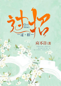 过招电视剧免费观看在线播放