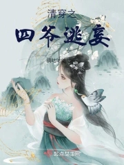 清穿之四爷龙凤胎全文免费阅读