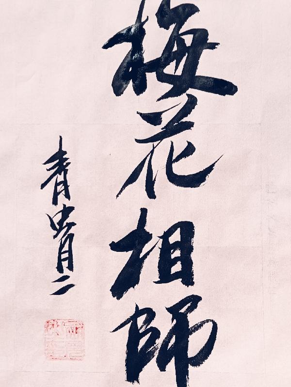 梅花谱全集讲解