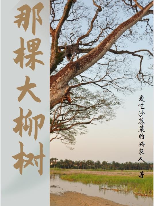 那棵大枫树好像一把又高又大的绿色太阳伞仿写