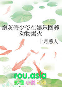 炮灰假少爷