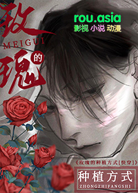 玫瑰的种植方式小说